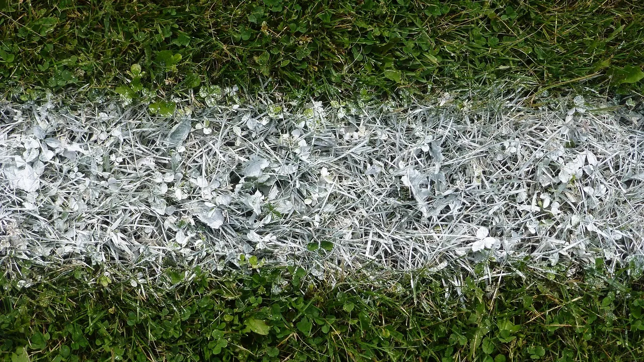 Ligne blanche fraîchement tracée à la peinture sur l’herbe d’un terrain